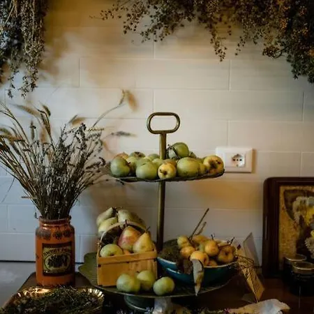 Villa Casa Artemisia Lungo Il Fiume Con Giardino Privato à Marcaria Extérieur photo