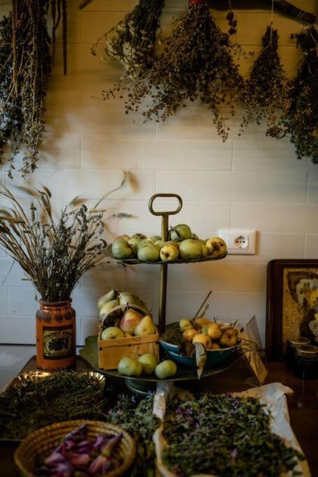 Casa Artemisia Lungo Il Fiume Con Giardino Privato * Marcaria